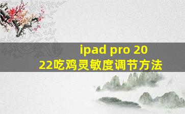 ipad pro 2022吃鸡灵敏度调节方法